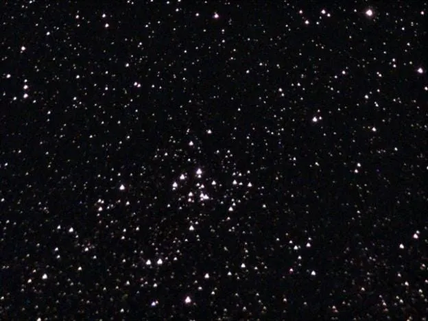 Black Swan Cluster
