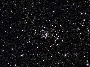 Webb's Cross