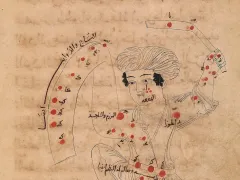 ওরায়ন তারামণ্ডল