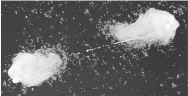  Fig3: A VLA radio image of Cygnus A, showing the two radio lobes separated by about
100$\rm h^{-1}$ kpc and the jet extending from the galaxy to the right-hand lobe. Cyg A is a narrow-line radio galaxy.