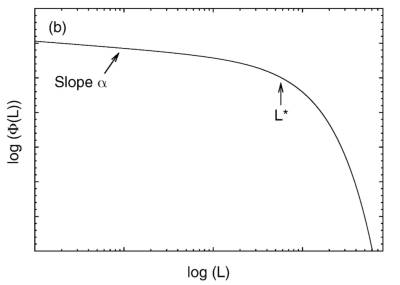 Fig 1: A schematic plot of the Schechter function