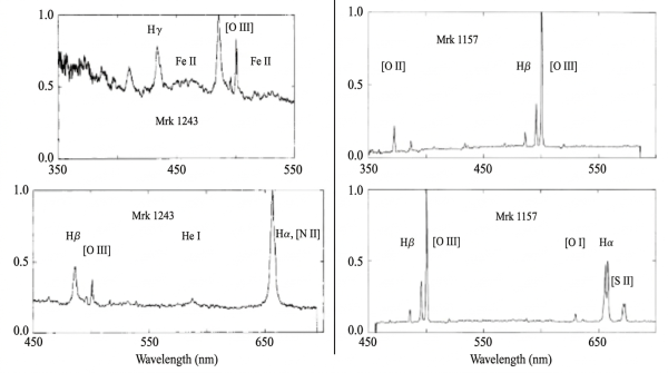  Fig 4: (Left): a Seyfert 1 and (right): a Seyfert 2 galaxy.